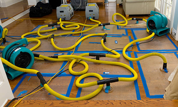 Professional Water Damage Restoration technician working in Pixley, CA